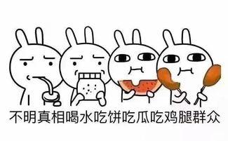 抖瓜咋吃,解锁夏日消暑新姿势