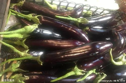 茄子视频吃瓜网址,吃瓜群众的狂欢盛宴网址大揭秘