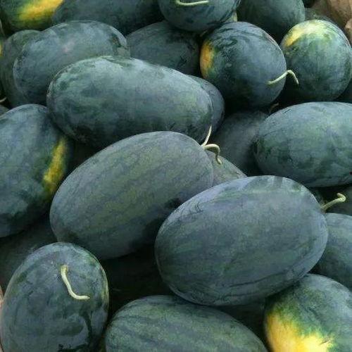 新一峰吃瓜,揭秘娱乐圈幕后真相