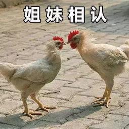 吃雄瓜不好吗,吃雄瓜的潜在风险与注意事项