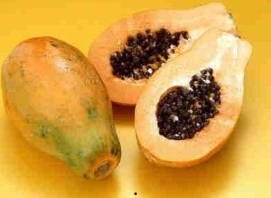 蒲瓜不能和什么一起吃,揭秘不能与哪些食物同食