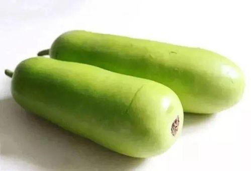 葫芦瓜宝宝吃,葫芦瓜宝宝的健康美食之旅