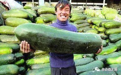 不会吃瓜的男人,为何不会吃瓜的男性在社交圈中显得格外独特？