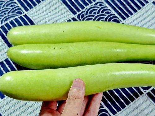 孕9个月可以吃瓜吗,美味与健康的双重享受