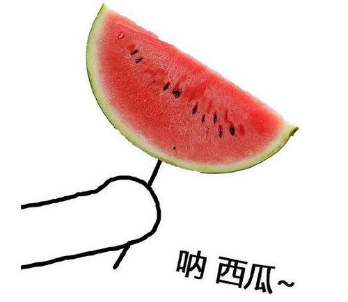 花小钱吃大瓜图片