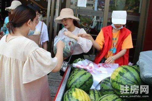 吃瓜蓝澜,揭秘娱乐圈背后的故事