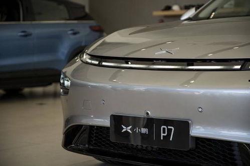 小鹏吃瓜,揭秘娱乐圈幕后故事