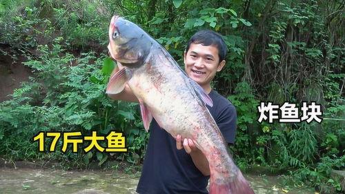 刘大瓜吃炸鱼,一场味蕾的狂欢之旅