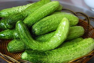 白天睡觉梦见吃瓜