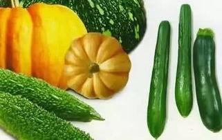 丘丘县吃瓜详情,一场全民参与的夏日狂欢