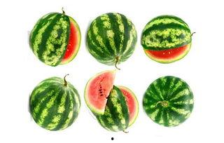 谷子店吃瓜,夏日炎炎，品味生活小确幸