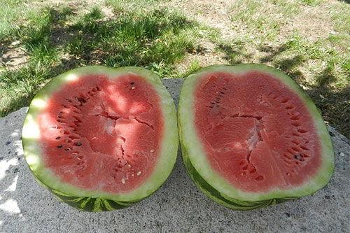 梦见吃瓜_买果子