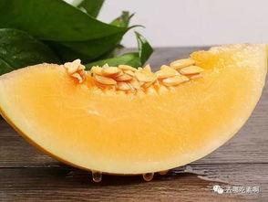 吃蜜瓜可以吃杏吗,夏季水果搭配新尝试