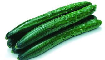 吃瓜大黄瓜,揭秘吃瓜大黄瓜的神奇魅力